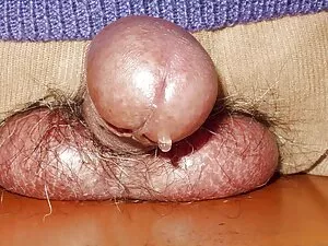 Impresionante pelirr ...